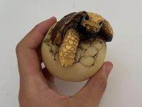 โมเดลอัลดาบราเรซิ่น galapagos tortoise egg