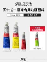 【STOCK】 Windsor Newton oil paint tool set painter special childrens art major students oil painting white gold titanium white 12/24/36 color novice beginners primer 45/170ML