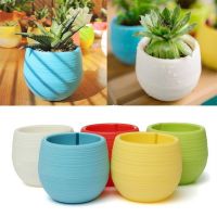 【Ready Stock】 ┇ D50 Gardening Mini Plastic Flower Pots Vase Square Flower Bonsai Planter Nursery Pot