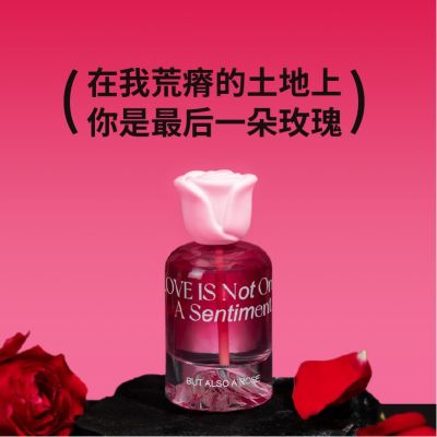 Finally a rose aromatherapy liquid plaster enlarge students practical new valentines day gift of birthday couples say storehouse