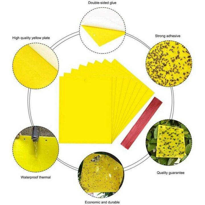 600pcs-sticky-fly-trap-paper-yellow-traps-fruit-flies-insect-glue-catcher-dual-sided-20x15cm