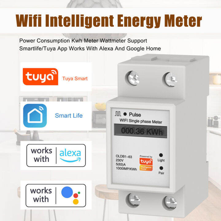 nishore Tuya WiFi Intelligent Metering Energy Meter Singles Phase