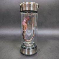 B Alien Jar Xenomorph Specimen Facehugger Embryo Glass Jar Movie Prop Replica