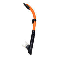 Bluetech Snorkel