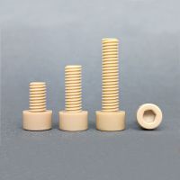 M4 PEEK Nylon Allen Socket Cap Head Screw High Temperature Resistance Hexagonal Plastic Screw High-Strength Bolt