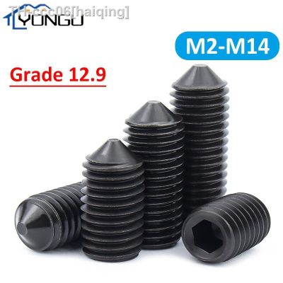 12.9 Grade Cone Point Hex Hexagon Socket Set Screws M2-M14