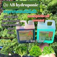 ?ปุ๋ยAB ปุ๋ยน้ำ ปุ๋ยผักสลัด สำหรับปลูกผัก Hydroponics ขนาด1000ML New สูตรเข้มข้น (ส่งฟรี)!!??