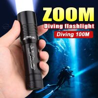 2023 White Light Led Diving Diver 100M Flashlight Xm-L T6 Led Torch Brightness Waterproof Underwater Lamp Torch 1000Lm Lantern Rechargeable  Flashligh