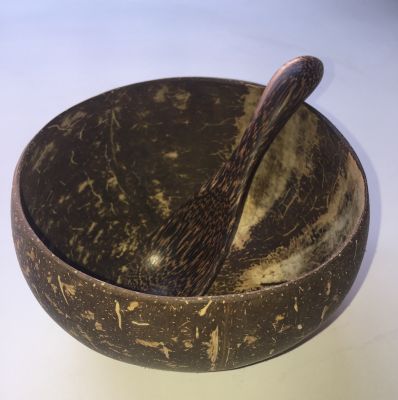 Coconut shell Bowl with Wooden spoon