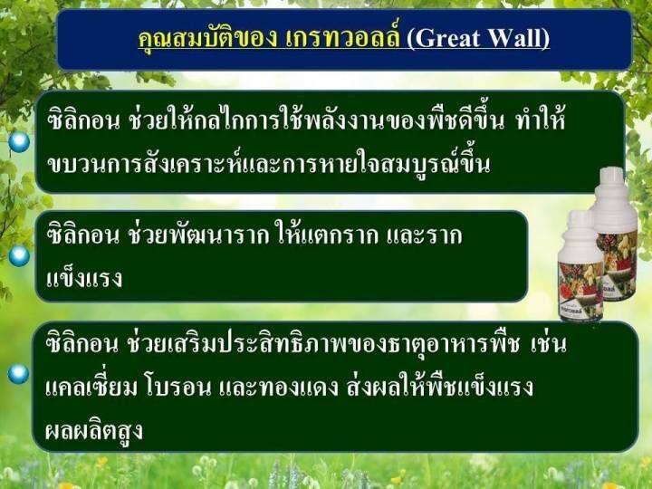 เกรทวอลล์-great-wall-ธาตุซิลิกอน-si-500cc