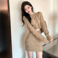 Wind suits female retro chic new autumn/winter 2021 turtle neck twist sweater to wear outside show thin package hip skirt of tall waist