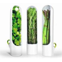 Home Fridge Herb Vegetable Container Portable Tea Freshness Saver Bottle Vegetable Leaves Keeper Herbs Storing Box