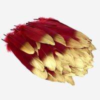 10Pcs Gold Feathers Wedding for Crafts Colored Accessories Decoration 15-20cm