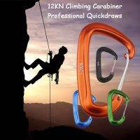 Professional Climbing Carabiner D รูปร่าง Mountaineering BUCKLE Hook 12KN ล็อคความปลอดภัยอุปกรณ์ปีนเขากลางแจ้งอุปกรณ์เสริม-WIOJ SHOP