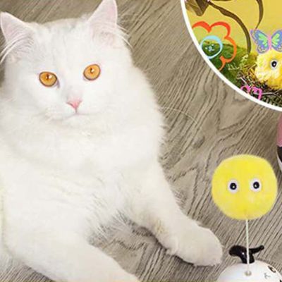 ลูกบอลของเล่นแมวตุ๊กตามีเสียงเหมือนสัตว์ร้องของเล่นแมวลูกบอลของขวัญที่สมบูรณ์แบบสำหรับคนรักแมว