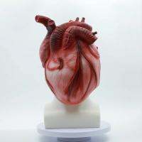 Heart Latex ผู้ใหญ่เด็กฮาโลวีนชุดแฟนซีปาร์ตี้น่ากลัว Headgear Creepy สมจริง Heart