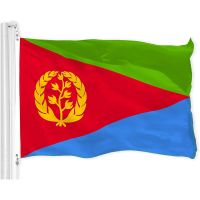 Countries eritrea flag 100% polyester 3x5 Double Side printing eritrean flag Valves