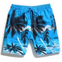 2023 NewQuick-Drying Summer Beach Pants,Loose Casual Shorts.real MAN # C5527