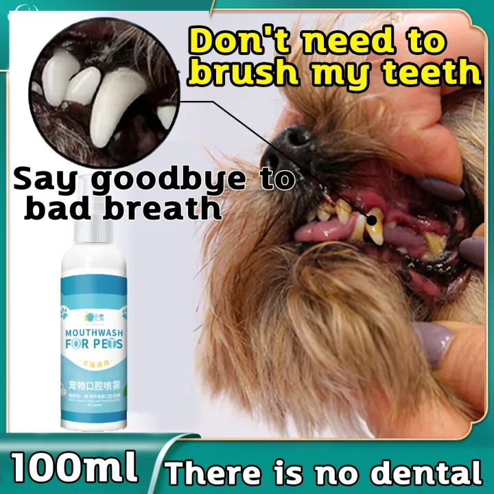 🐱No need to brush your teeth🐶 dog oral spray teeth cleansing spray