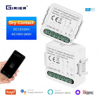 GIRIER Smart Dry Contact WiFi Switch Module Smart Home DIY Breaker Relay DC 12/24V AC 100-240V Works with Alexa Hey Google Alice Electrical Circuitry