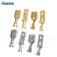 25 Male 25 Female Spade terminal 6.3mm