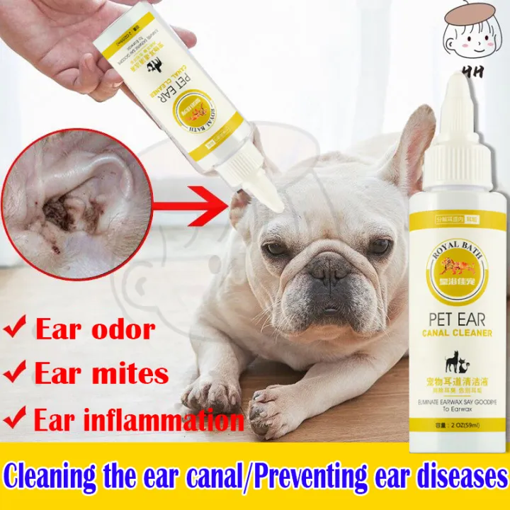 how to eliminate mites on dogs ears