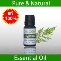 SenOdos น้ำมันหอมระเหยแท้ กลิ่นไซเปรสซ์ Cypress Essential Oil 10ml