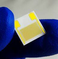 100um Interdigital Gold Electrode Film Circuit ตัวเก็บประจุ IDE Array ความชื้นก๊าซ Biosensor Chip