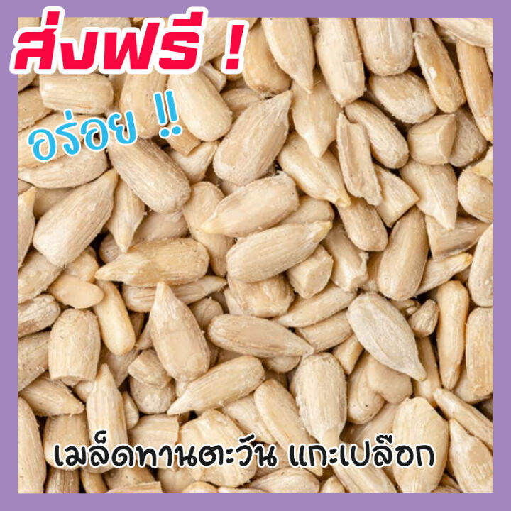 ส่งฟรี-ซื้อ-1-ฟรี-1-เมล็ดทานตะวันแกะเปลือก-sunflower-seeds-roasted-unsalted-ขนาด-500กรัม-ฟรี-100กรัม-เม็ดทานตะวัน-ทานตะวันอบ-ขนมกินเล่นถูกๆ-ขนมกินเล่น-อาหารพร้อมทาน-ขนมที่ดังใน-tiktok-ขนมถูกๆส่งฟรี-ธั