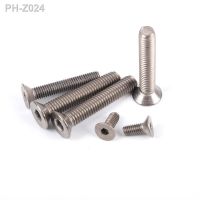 10pcs/lot DIN7991 Titanium hex socket flat countersunk head screw M2 M2.5 M3 M4 M5 M6