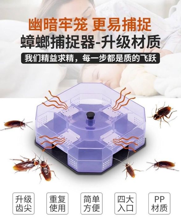 cockroach-trap-box-กล่องดักแมลงสาบ-4-ทิศทาง-ดักแมลงสาบ-กำจัดแมลงสาบ-ที่ดักแมลงสาบ-กับดักแมลงสาบ-กับดักหนู-แบบสปริง-เครื่องกำจัดแมลงสาบ-แมลง