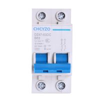 DC 2P Circuit Breaker Protection Switch3A 125A Air Switch 12v 125v for DC Photovoltaic Tram Battery Circuit Protector
