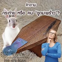 030.กระต่ายขูดมะพร้าว *ขนาด 42x14x สูง 15 ซม.