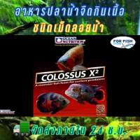 Woww สุดคุ้ม อาหารปลากินเนื้อ ชนิดเม็ดลอยน้ำ ปริมาณ 200g Ocean Nutrition Colossus X2 200g Floating Pellet ราคาโปร อาหาร ปลา อาหารปลาคราฟ อาหารปลากัด อาหารปลาสวยงาม