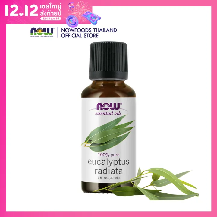 Now Foods Eucalyptus Radiata Oil 100 Pure 30 Ml Essential Oil น้ำมันหอมระเหย ยูคาลิปตัส 3655