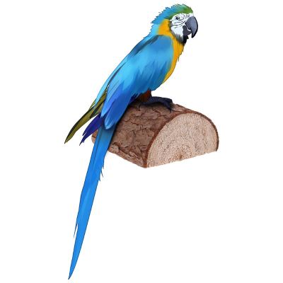 H7EA Bird Perch แพลตฟอร์มไม้ธรรมชาติปลอดสารพิษ Parrot Cage ของเล่น Stable Scrub Station สำหรับ Parakeet Finch Canary