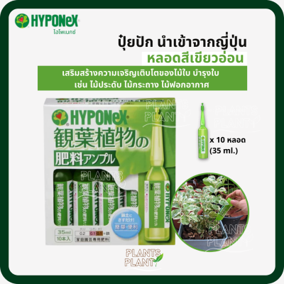 ปุ๋ยปัก (สีเขียวอ่อน) ปุ๋ยHyponex Ampoel (ไฮโพเนกซ์ แอมเพิล) ปุ๋ยนำเข้าจากญี่ปุ่น ปุ๋ยหลอด ปุ๋ยญี่ปุ่น ปุ๋ยปักกระถาง