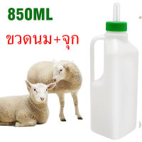 ขวดนมวัว ขวดนมหมู พร้อมจุกนม ขวดนมสัตว์ 850ml ป้อนนมวัว หมู แพะ ส่งจากไทย