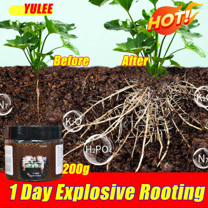 （1 Day Explosive Rooting） YULEE ROOTING HORMONES rapid growth ...