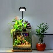 Đèn thuỷ sinh, đèn led đế gỗ KAOKUI chuyên dụng cho bể cá mini tiểu cảnh