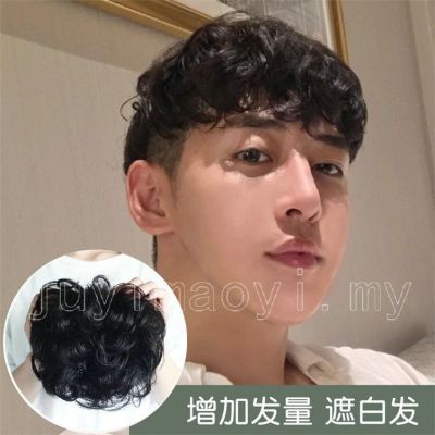 Man Short Wig Real Human Hair Bald Replacement Block Curls Fluffy for Men Male