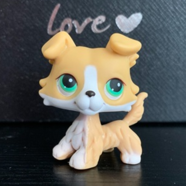 Littlest Pet Shop Brown green eyes Cocker Spaniel Dog Figure for Kids Gift 1pc 