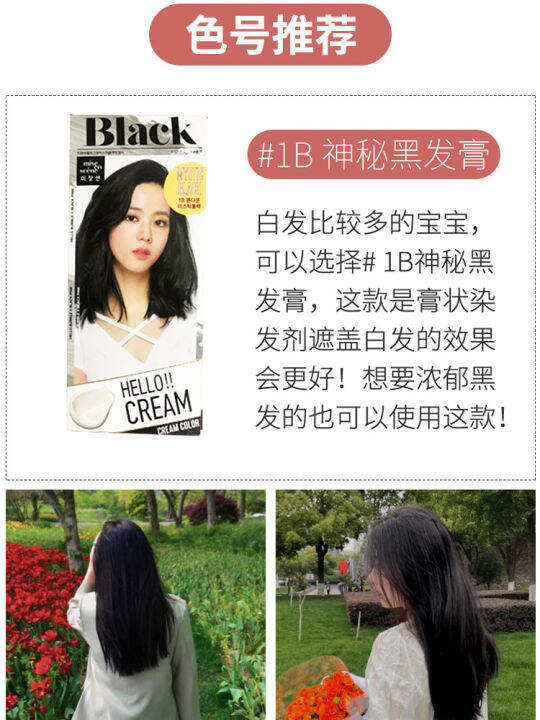 Korean Amore Foam Hair Dye Bitter Flax Black and Blue9bPopular Hair Color Cream7kPure Plant