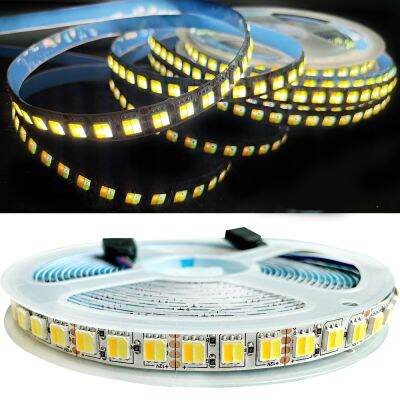 CW LED StripWhite Warm21 Chip 5050TapeColor Temperature Ajustable DC12V/24V60leds 120leds