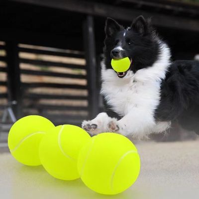 เครื่องของเล่นเทนนิสสัตว์เลี้ยงลูกบอลสุนัข3ชิ้น/แพ็กเครื่องยิงอัตโนมัติรองรับการเปิดตัวเด้งอะไหล่แมวร้านค้า
