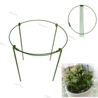 5pcs 10pcs Round Metal Garden Veg Flower plant Stand Support Stake holder Climbing Orchard Fixing Rod Gardening Bonsai Tool 30cm WDAGTH