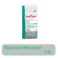 Royal Mini Starter 16kg สูตรแม่สุนัขพันธุ์เล็กอุ้มท้อง-เลี้ยงลูก และลูกสุนัขหย่านม- 2เดือน Exp:02/2024