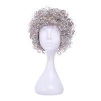 [COD] New gray fan wig popular and curly hair stage performance short factory direct supply