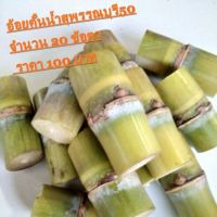 อ้อยคั้นน้ำสุพรรณบุรี50 จำนวน 20 ข้อตา ราคา100 บาท