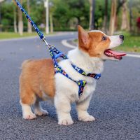 Adjustable Nylon Dog Leash CollarHarness Set for Small Dogs Cats Colorful Printed Dog Chest Straps Traction Rope Pets Leash Belt